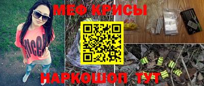 стафф Кингисепп