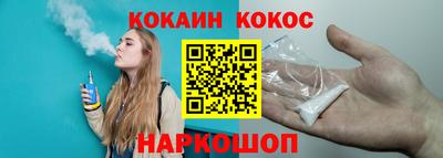 стафф Кингисепп