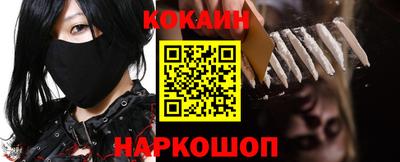 стафф Кингисепп