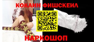 стафф Кингисепп