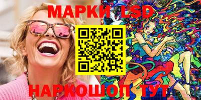 стафф Кингисепп