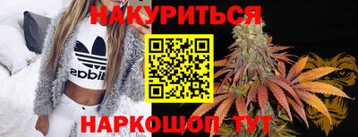 стафф Кингисепп