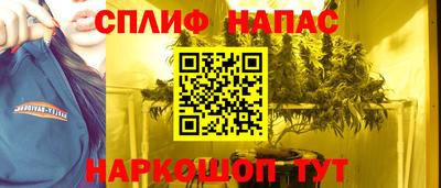 стафф Кингисепп