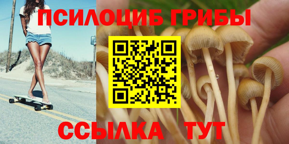 Крымск  Галлюциногенные грибы Psilocybine cubensis  Вход с VPN  Псилоцибиновые грибы мицелий 